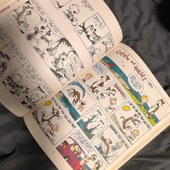 The Essential Calvin and Hobbes: A Calvin and Hobbes Treasury - Picture 4 of 5